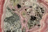 Rhodochrosite Stalactite Slice with Pyrite & Galena - Argentina #194416-1